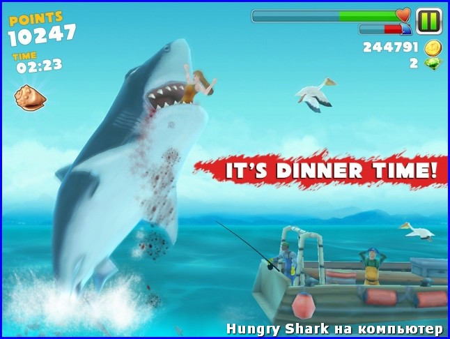 Hungry Shark    -  9